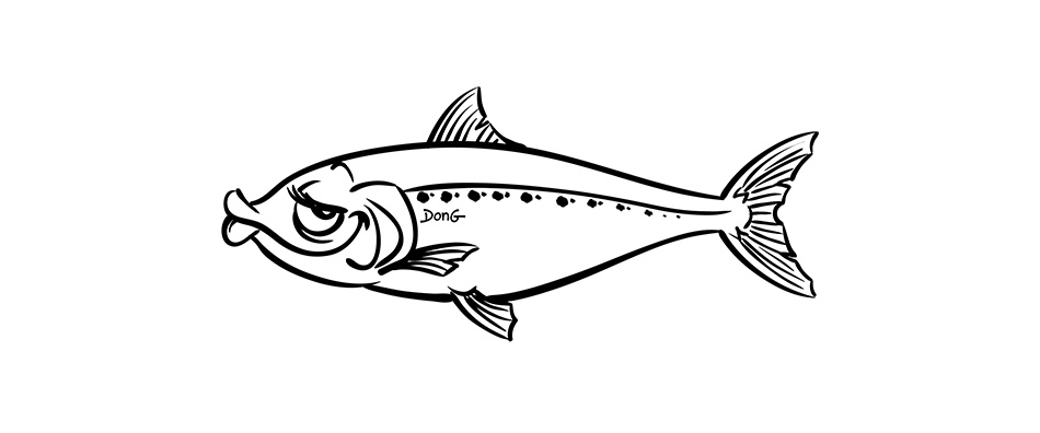 Poisson d'avril sardine 