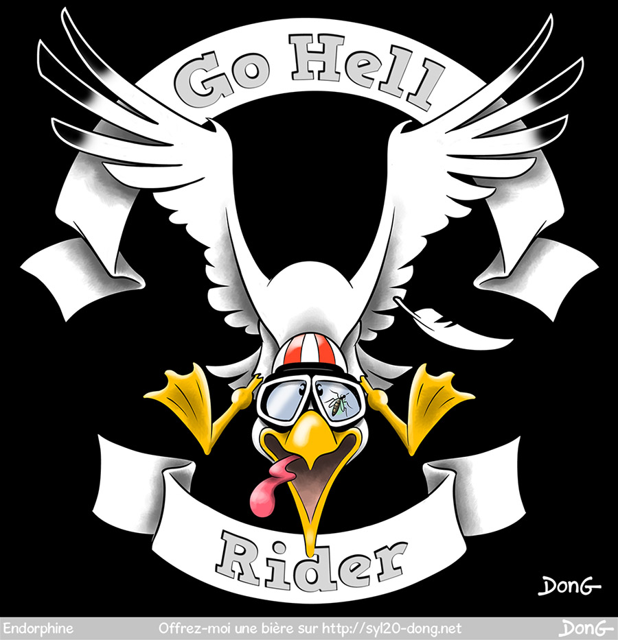 Go Hell Rider. Dessin représentant un goéland de face, ailes écartées et pattes en avant façon aigle. Il a un casque de moto et des lunettes d'aviateur sur lesquelles est collé un moustique.