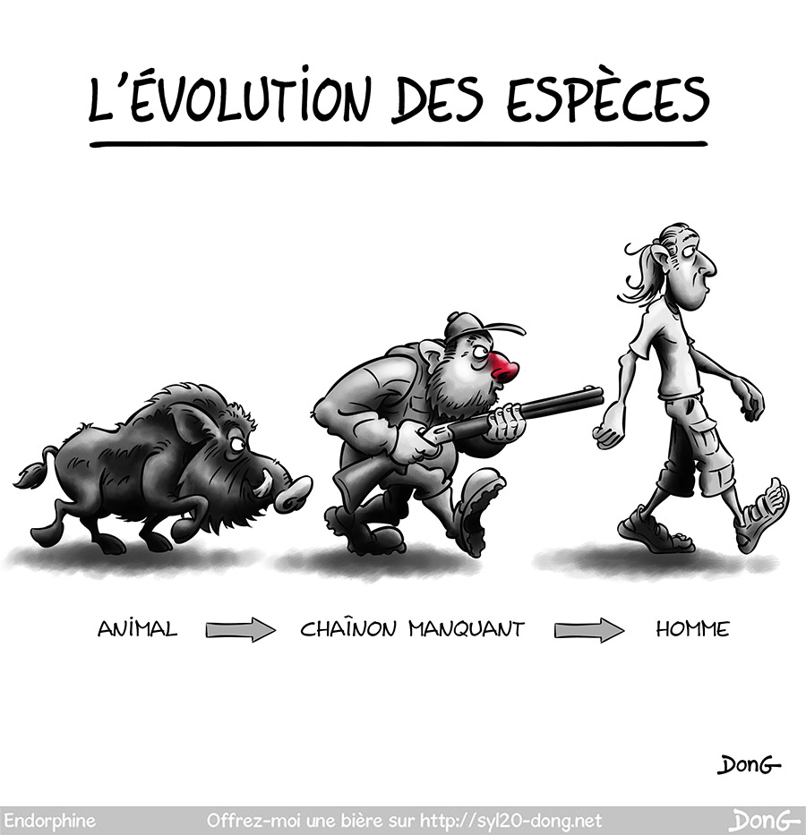 Évolution des espèces